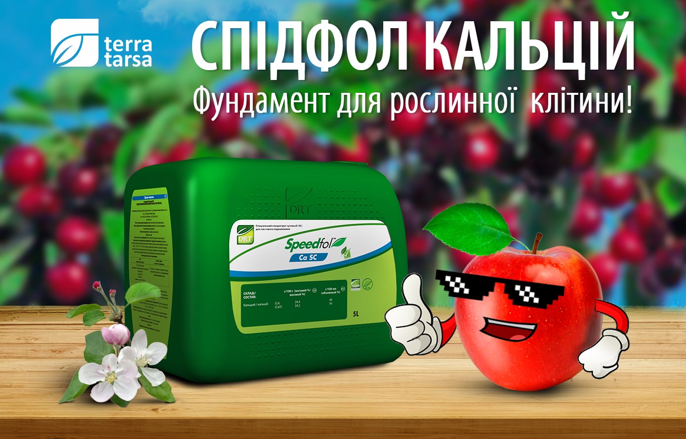 Фундамент для рослинної клітини