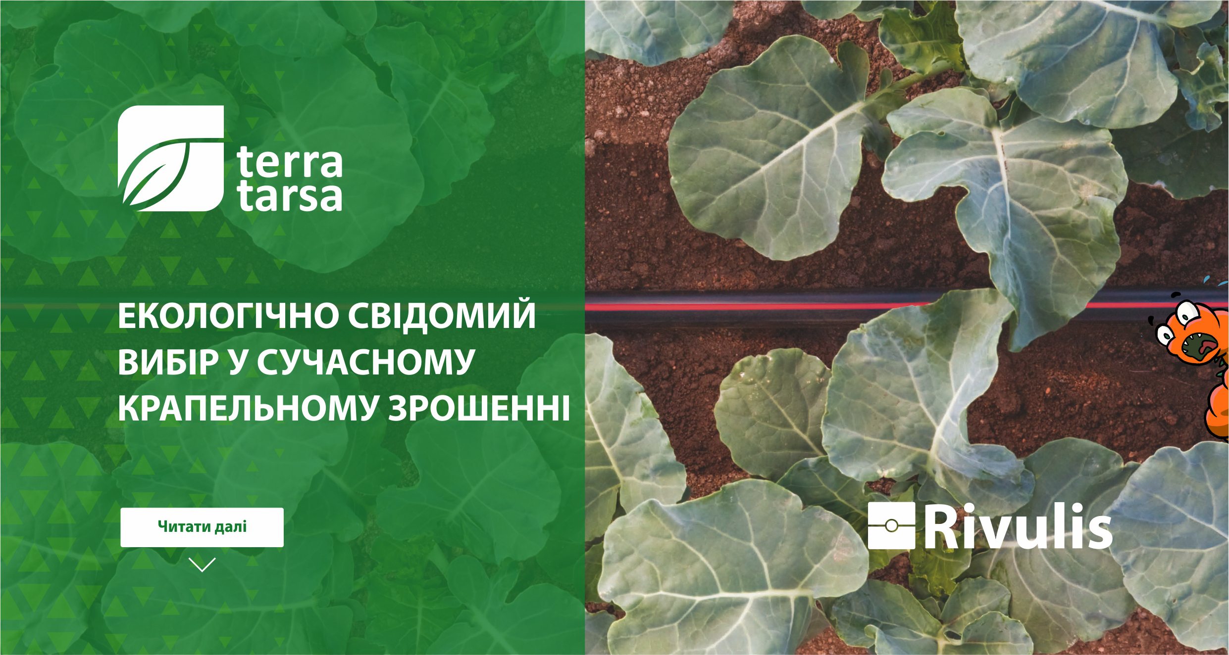 An ecologically sound choice in modern drip irrigation